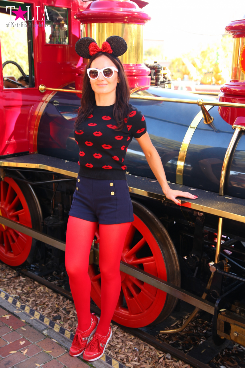 Диснейленд в Калифорнии (Анахайм, Лос Анжелес). Аттракционы